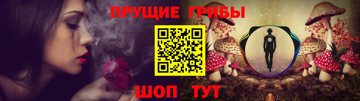 Галлюциногенные грибы мицелий Бийск